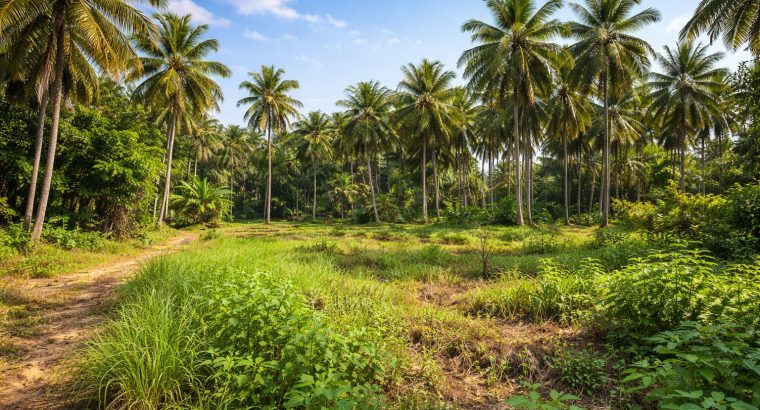 Land for Sale – Kalagedihena