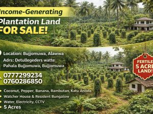 Land for Sale – Bujjomuwa, Alawwa