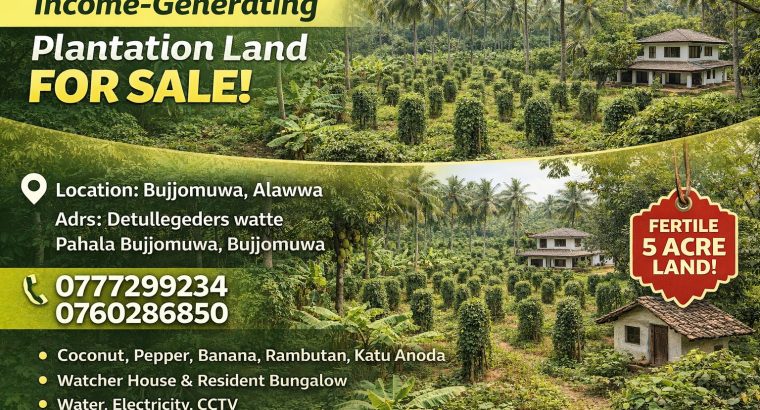 Land for Sale – Bujjomuwa, Alawwa