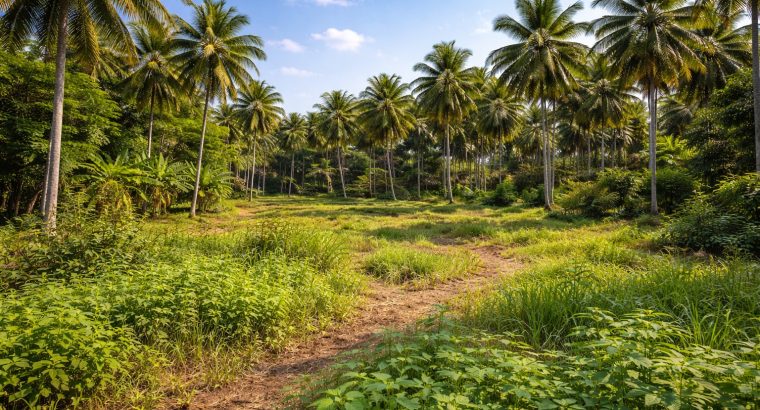 Land for Sale – Kalagedihena