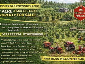 Land for Sale – Tambarawa, Wariyapola