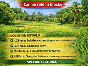 Land for Sale Gampaha