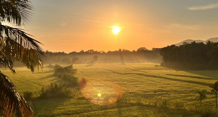Moments with a View – Sigiriya