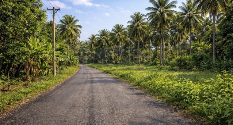 Land for Sale – Kalagedihena