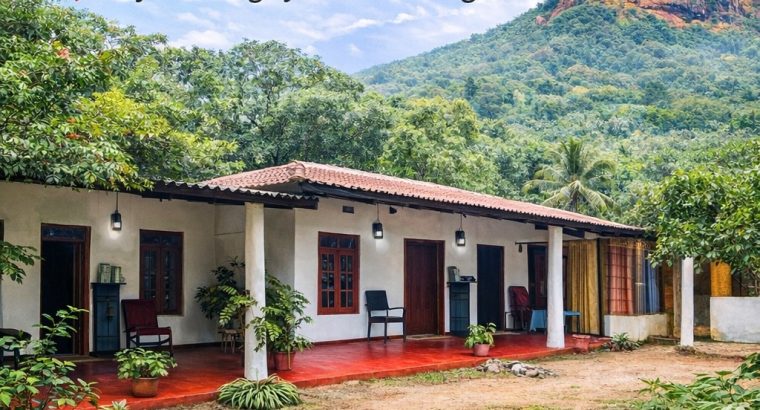 Budget Hotel in Sigiriya – Main Road