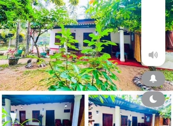 Budget Hotel in Sigiriya – Main Road