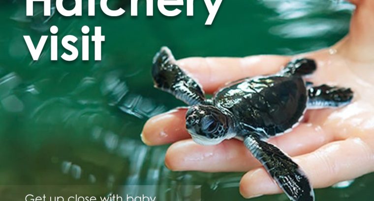 Explore Lanka Travels(Pvt) Ltd