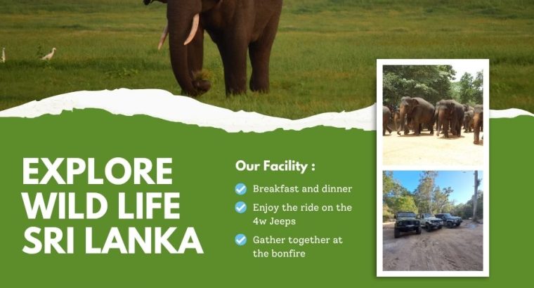 Explore Lanka Travels(Pvt) Ltd