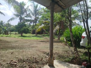 80 Perch Coconut Land – Bandaragama