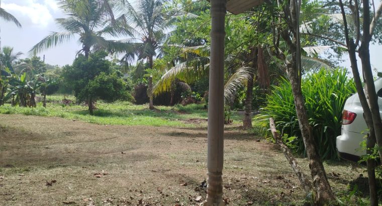 80 Perch Coconut Land – Bandaragama