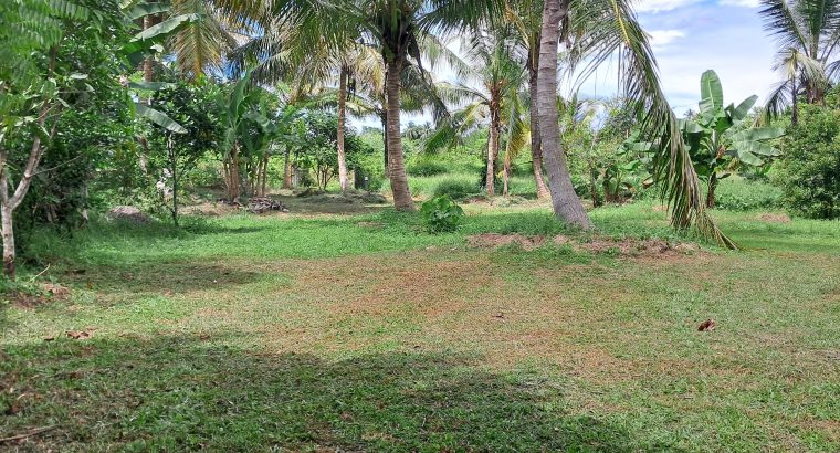 80 Perch Coconut Land – Bandaragama