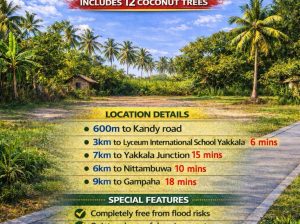 Land For Sale Sapugasthenna, Kalagedehena