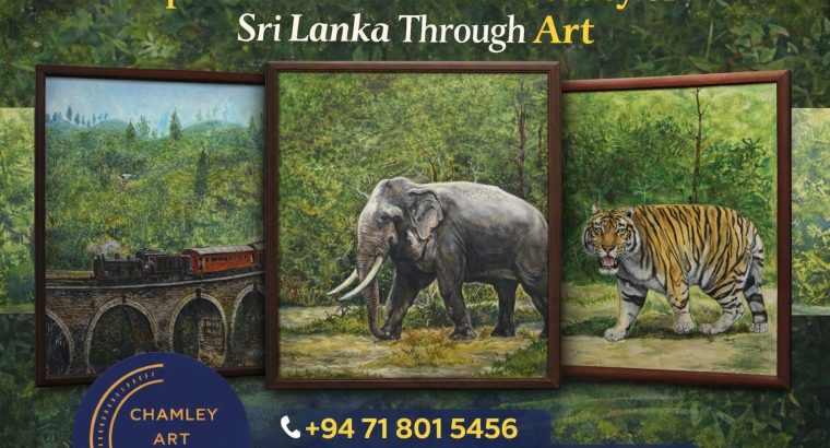 Discover Unique Sri Lankan Paintings at Chamley Art Gallery