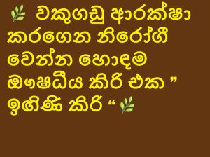 🌿 වකුගඩු ආරක්ෂා කරගෙන නිරෝගී වෙන්න හොඳම ඖෂධීය කිරි එක ” ඉඟිණි කිරි “🌿
