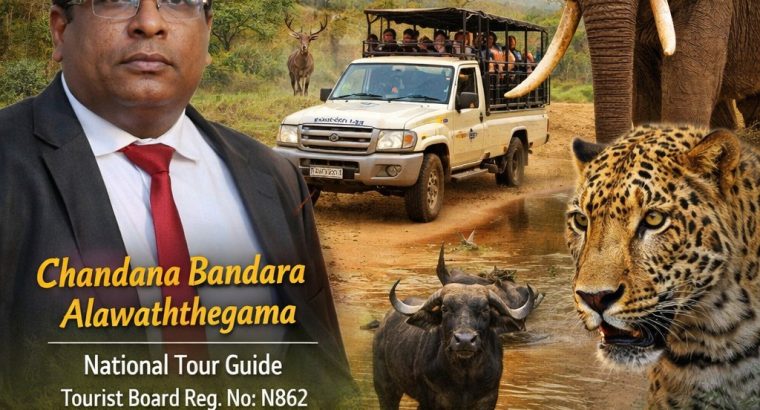 Chan Tours – Creating Unforgettable Journeys