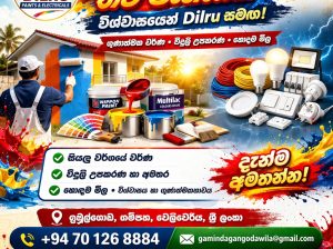 Dilru Paints & Electricals