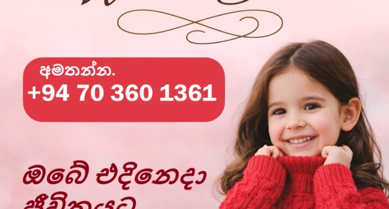 Wool & Bloom – Wool Creations