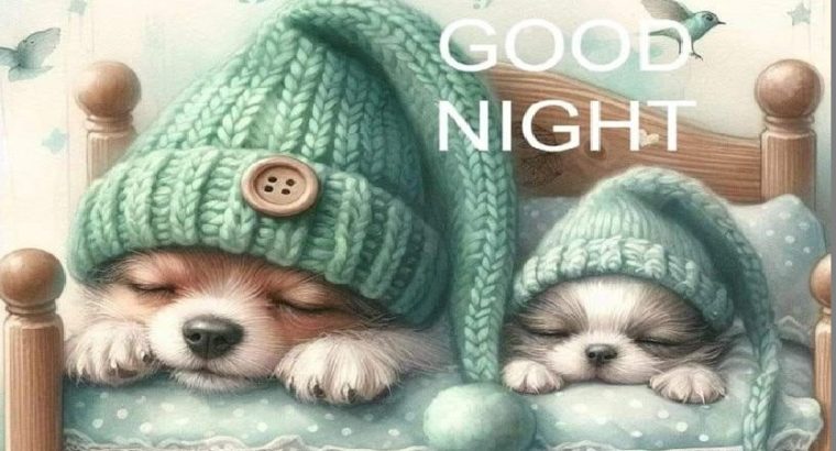 Wool & Bloom – Wool Creations