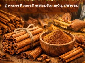 SS කුරුඳු කඩේ