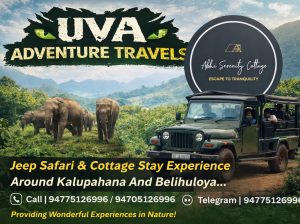 UVA Adventure Travels & ABHI Serenity Cottage – Adventure Meets Tranquility