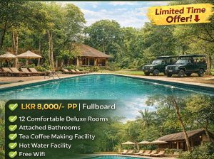 Wild Escape at Wilpattu