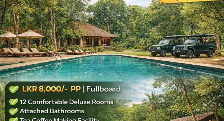 Wild Escape at Wilpattu