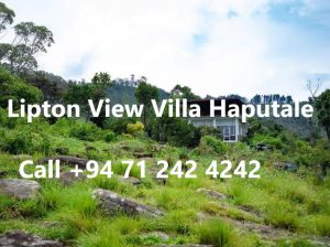 Lipton View Villa Haputale