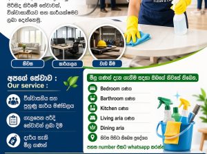 Professional Cleaning You Can Trust