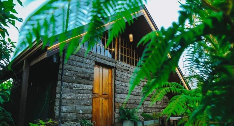 Henry Wood Cabin
