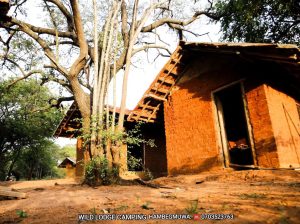 Wild glamping experience in Thanamalwila