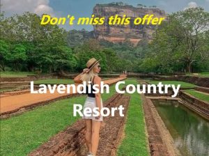 Lavendish Country Resort