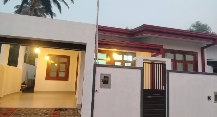 House for sale in Homagama Meegoda Prime Land Auction Land.