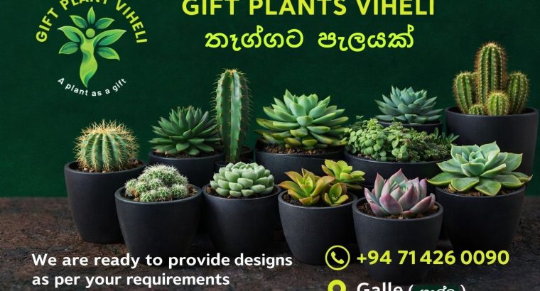 Gift Plants Viheli – Bring Nature Into Your Living Space