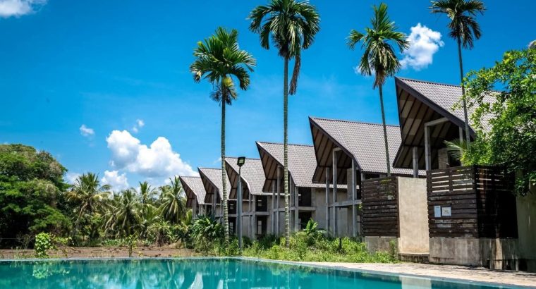 Wild Escape at Wilpattu