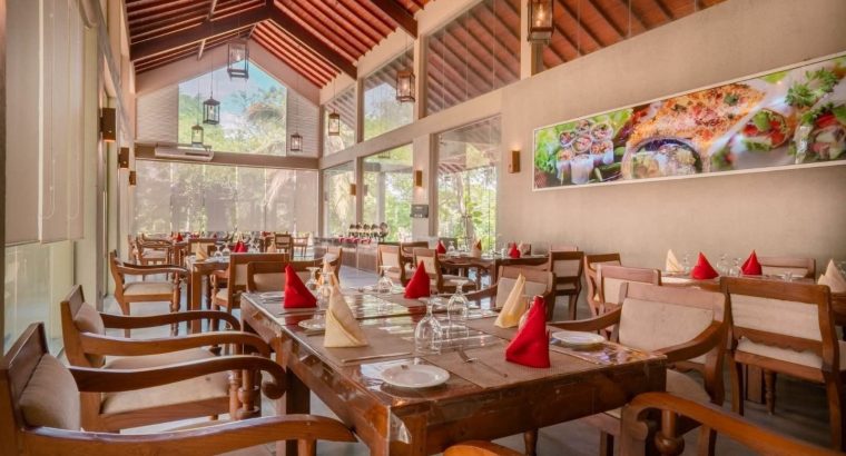 Wild Escape at Wilpattu