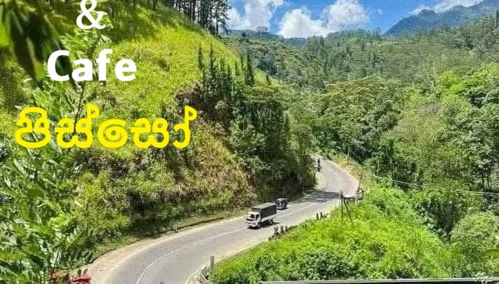 Travel with -Hotels, Restaurants and cafe