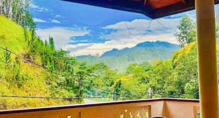 Travel with -Hotels, Restaurants and cafe