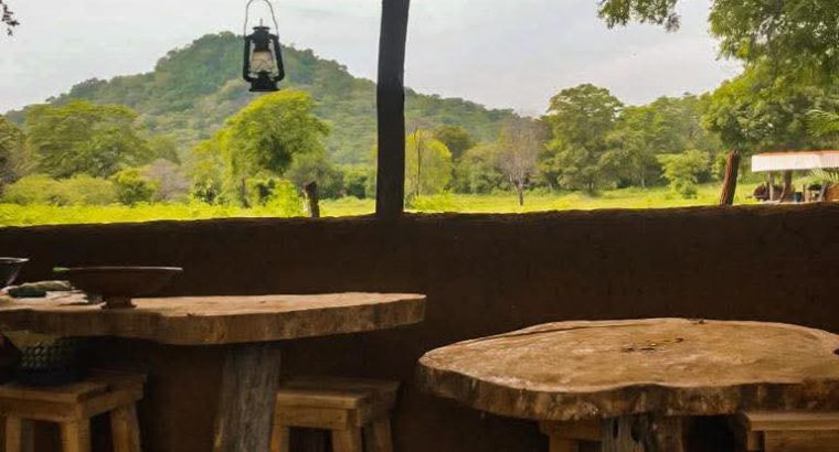 Wild glamping experience in Thanamalwila