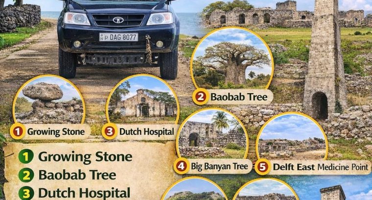 Discover the Wonders of Delft & North Sri Lanka