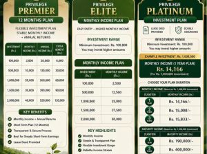 Invest Today, Earn Tomorrow with Power Hands Plantation