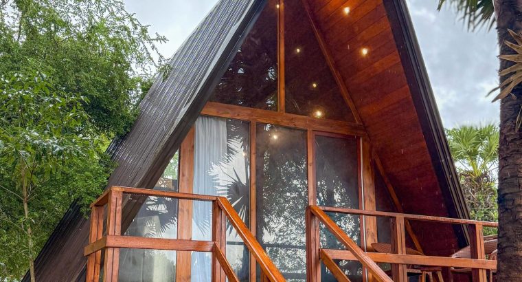 Luxury Nature Escape at Leopard Inn Wilp...