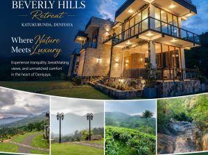 Taste the Flavors of Nature at Beverly Hills Retreat