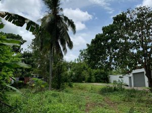 Valuable Land for Sale in Wataraka, Homagama