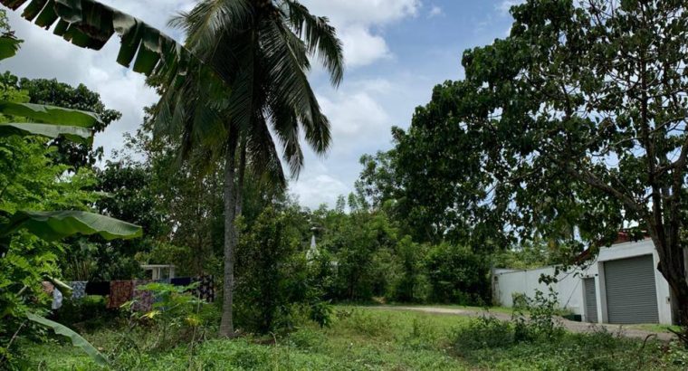 Valuable Land for Sale in Wataraka, Homa...