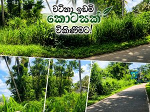 Land in Kamburupitiya – Prime Main Road Facing