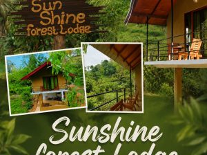 Sunshine Forest Lodge – Sinharaja