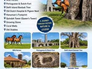 Delft Island Adventure with Sinthu Travels