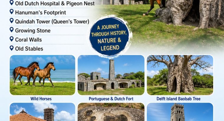 Delft Island Adventure with Sinthu Travels
