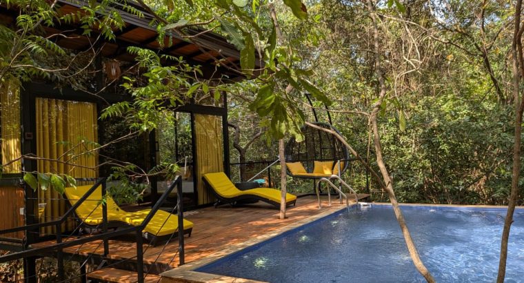 Escape to Paradise in Habarana