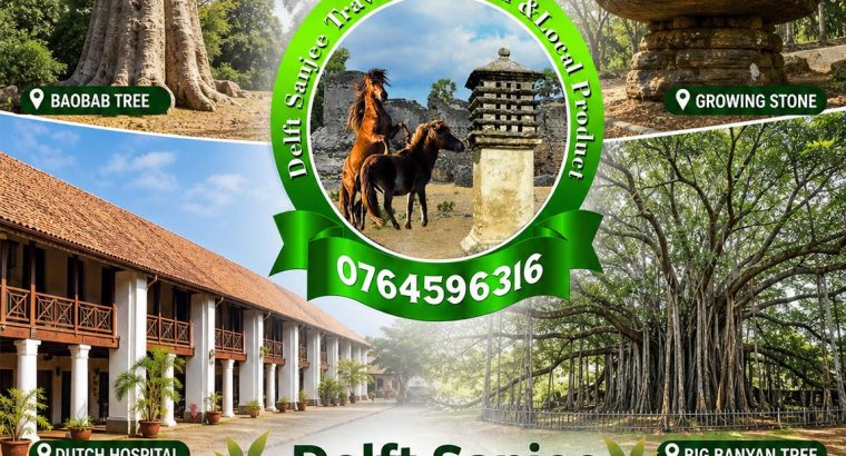 Discover the Wonders of Delft & North Sri Lanka
